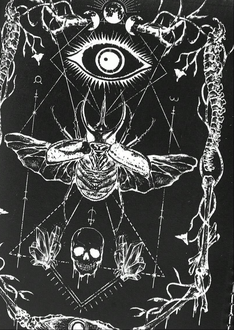 Dark Moth Wallet